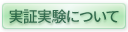 実証実験について