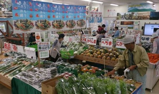 道の駅「ぎのざ」（沖縄 宜野座村）