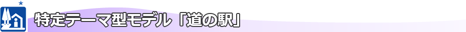 >特定テーマ型モデル「道の駅」