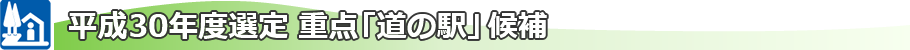 平成30年度選定 重点「道の駅」候補