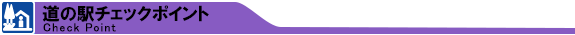 道の駅チェックポイント