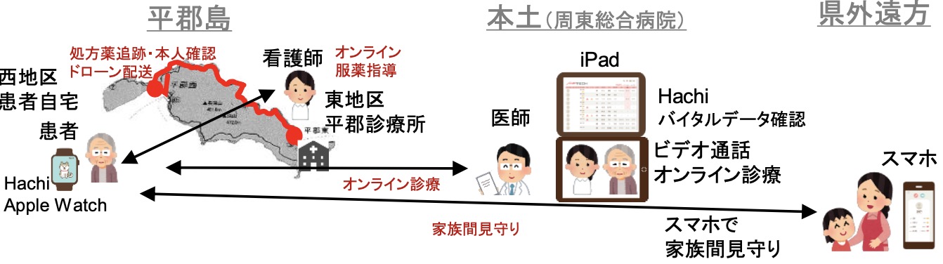 ICT活用による離島医療・物流持続的確保実証調査事業
								