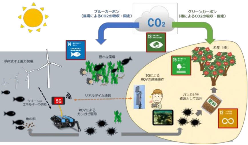 第5世代移動通信システムの活用と水産資源回復の実証調査