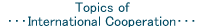 Topics of International Cooperation