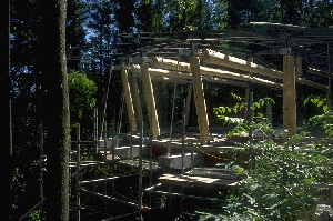 �X���C�hNO.37