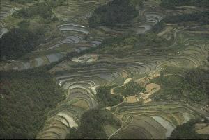 �X���C�hNO.6