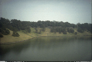 �X���C�hNO.10