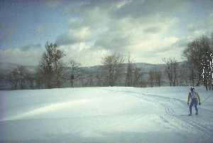 �X���C�hNO.22