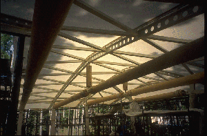 �X���C�hNO.46