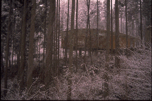 �X���C�hNO.48