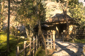 �X���C�hNO.54