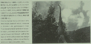 �X���C�hNO.17