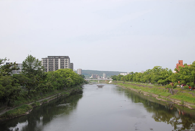 白川　緑の空間