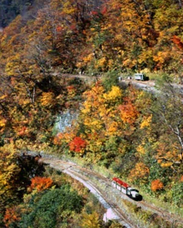 立山砂防工事専用軌道 樺平18段スイッチバック