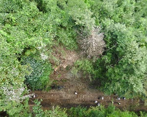 ドローンで撮影された被災現場