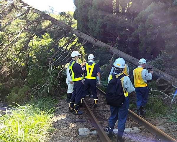 鉄道災害調査隊（RAIL-FORCE）派遣時の様子