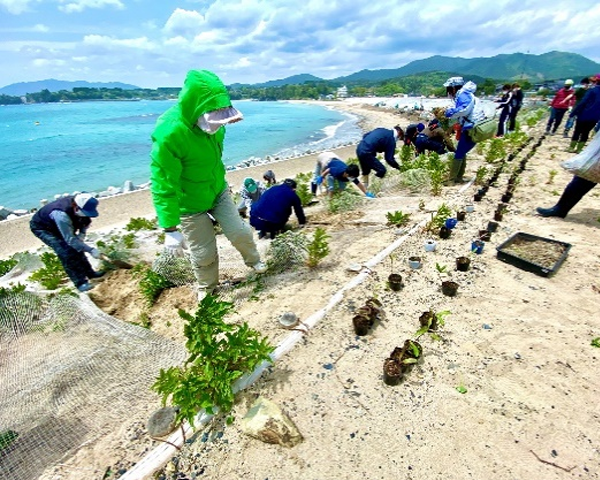 海浜植物の移植作業（写真提供：大谷まちづくり協議会）