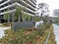 ハビタット評価認証制度(JHEP)により認定された緑地2つ目の写真