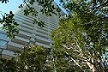 ハビタット評価認証制度(JHEP)により認定された緑地3つ目の写真