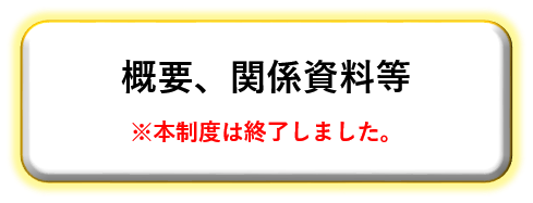 時限措置概要